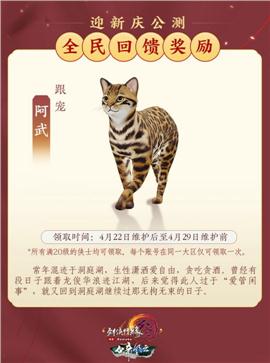 致青春天龙八部私服